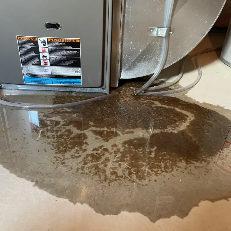 Appliance Leak Cleanup in Fort Meade, MD